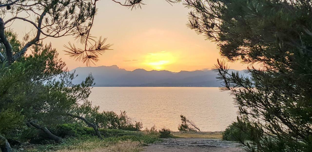 Es Fasser Alcudia  Bagian luar foto