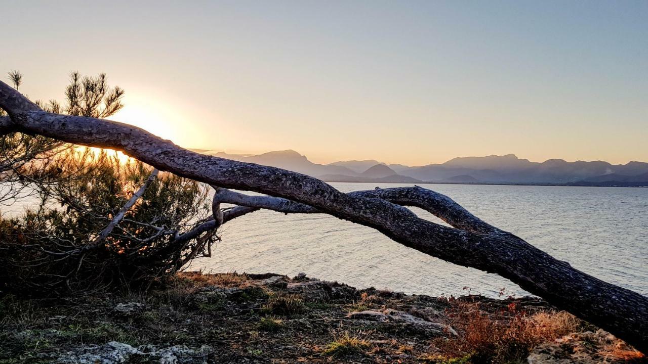 Es Fasser Alcudia  Bagian luar foto